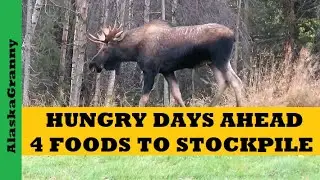 4 Foods To Stockpile Now...Prepping SHTF...Hungry Days Ahead