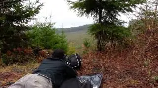 Second hit in a row at 416yrds sav-111 30-06