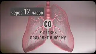 3 Курение 25c