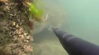 Азербайджан,Баку_Каспий_охота на Кефаль.