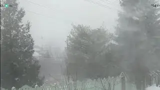 Завьюжило...!!!