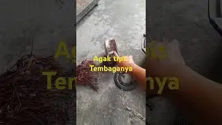 Hasil bongkar trafo donat 150 ribu #tembaga