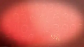 Красная дверь (Red door) в Warzone