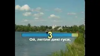 Ой летіли дикі гуси (Караоке)