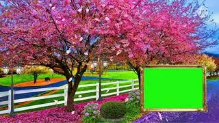 Best love green screen effects | background green screen video effects