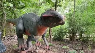 Wandering with Wren: A Dinosaur Safari