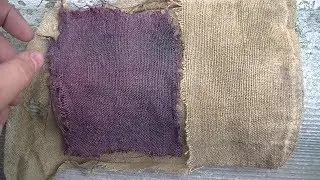 фарбування льону бузиною (uCR) Dyeing linen by elderberry
