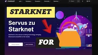 Starknet для чайников! С чего начать новичку😎