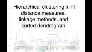 Understanding Hierarchical Clustering in R  Distance Measures and Linkage Methods 📊
