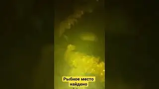 Рыбное место найдено