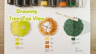 Drawing Trees Top View 🌳🌲 for Architectural Sketches with Markers
