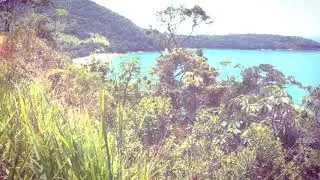 Dias de praia.