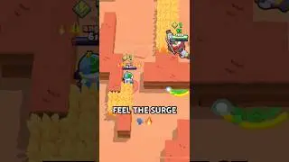 SURGEEE 