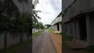 Soothing Walk - Kerala