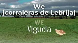11. We (corraleras de Lebrija). (album: We)