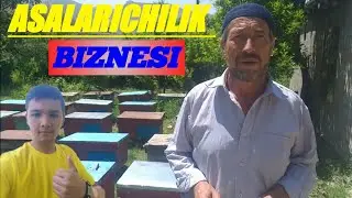 #АСАЛ