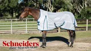 Schneiders® Top Fly Sheets This Summer