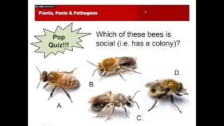 PPP February 2019 | Pest and Plant Disease Issues in NC