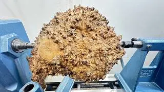 Possibly The Best Wood EVER!!