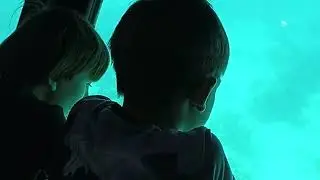 По Красному морю - на подводной лодке!