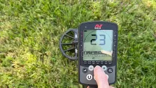 Minelab Equinox 800 Metal Detector with EQX 11