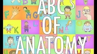 Babbatoons presents: The ABC's of Anatomy
