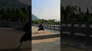 Shaolin Masters #shaolin #kungfu #wushu #martialarts #shifu #training #mma #fitness #shifukanishka