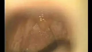 examination of the nose, mouth, and neck 3