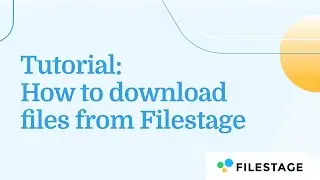 How to Download Files from Filestage