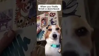 when you finally finish a sketchbook... 