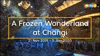 A Frozen Wonderland at Changi