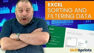 Tame Your Data:  Sorting and Filtering, and Conditional Formatting in Excel