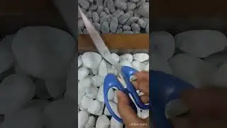 How to Use a Scissor 😳☝️ How to Hold a Scissor #shorts #lifehacks #howto #scissor