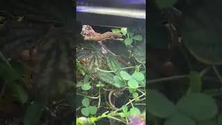 Maintaining a cave waterfall ecosystem 🌱
