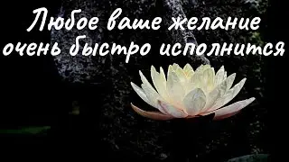 Исполнение желания. Желание исполнится быстро. Быстрое исполнение желаний