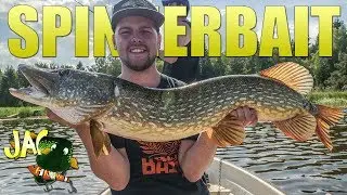 Spinnerbaitfiske i Skärgården