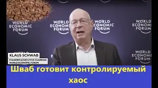 Управляемый хаос Швабощина