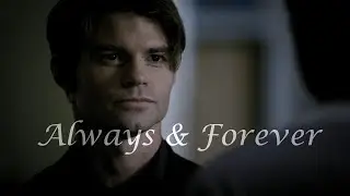 Elijah Mikaelson | Love the way you lie