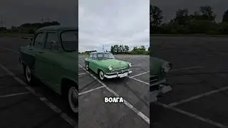 Волга ГАЗ-21 из Сочи