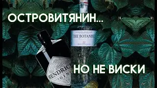THE BOTANIST 22 Islay Dry Gin vs HENDRICKS Gin | Сравнение Лучших Шотландских Джинов | Женя Пьёт#35