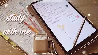 Evening study session 🎀 February | Galaxy Tab S7 | chill music