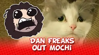 Game Grumps: When Dan Freaked Out Mochi