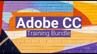 The Complete Adobe CC Training Bundle from StackSocial
