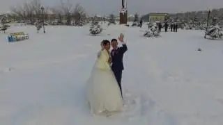 **ViP** Гулянка