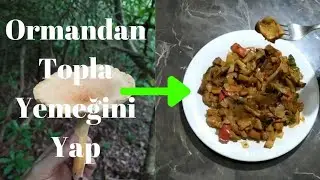 Doğal Mantar ile Mantar Sote Yapımı🍄