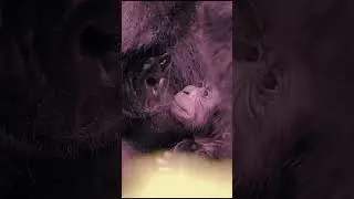 МИЛОСТЬ ВСЕВЫШНЕГО АЛЛАХА