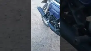 зид сова и восход 3м