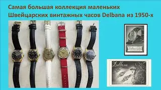 Самая большая коллекция часов Delbana