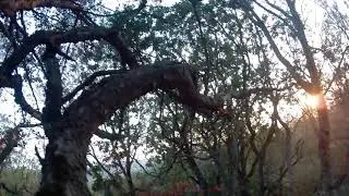 Running footage - I had an important thing to do that day