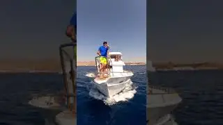 Заповедник Рас Мохаммед / Египет, Шарм ель Шейх 